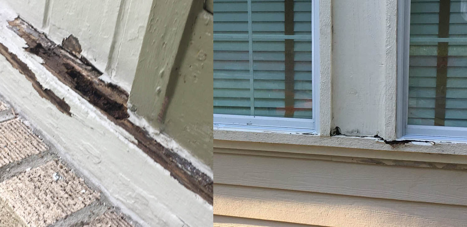 Wood Rot Repair Gainesville Wood Rot Repair Gainesville