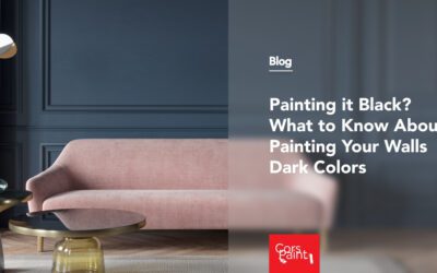 Painting it Black? What to Know About Painting Your Walls Dark Colors